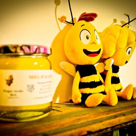 Apigite68, Proche Route Des Vins, Vosges, Colmar Et Non Loin D'Europa-Park! Ostheim Εξωτερικό φωτογραφία