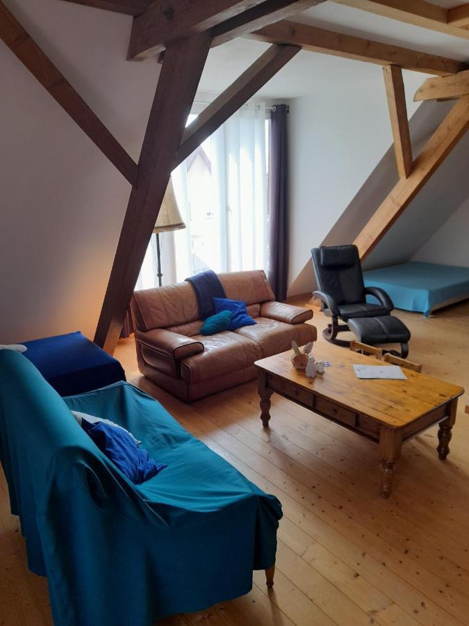 Apigite68, Proche Route Des Vins, Vosges, Colmar Et Non Loin D'Europa-Park! Ostheim Εξωτερικό φωτογραφία